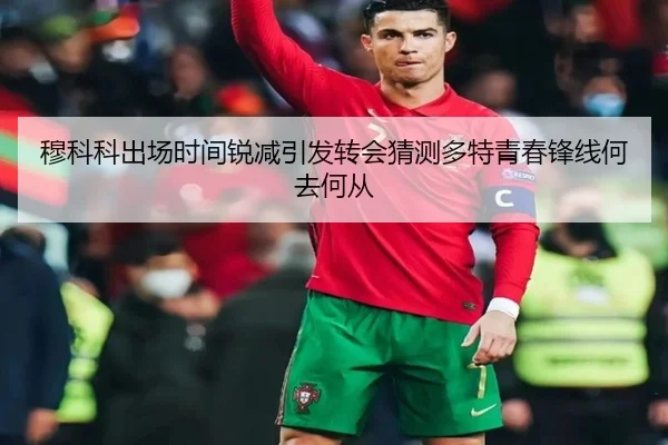 穆科科出场时间锐减引发转会猜测多特青春锋线何去何从（kaiyun）