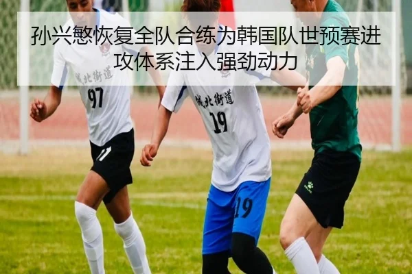 孙兴慜恢复全队合练为韩国队世预赛进攻体系注入强劲动力